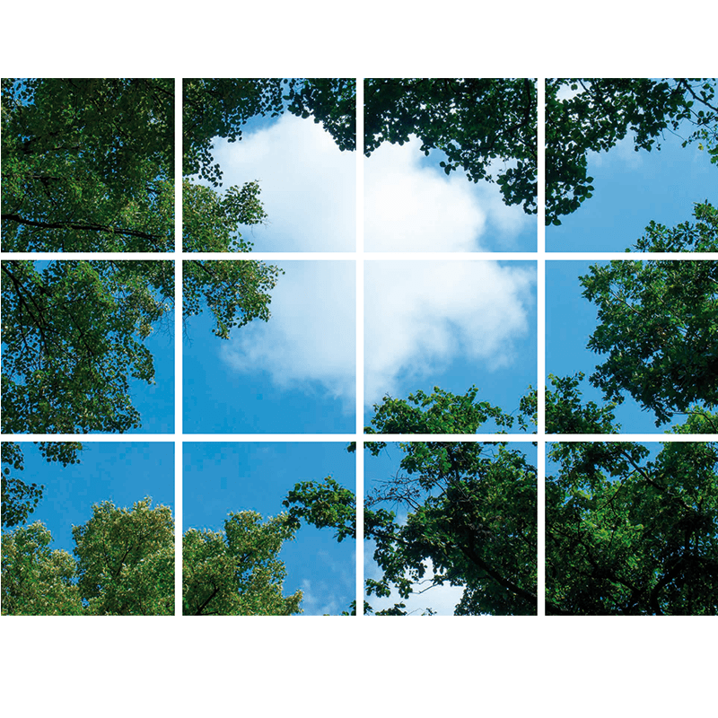 Fotoprint Wolken en Bos